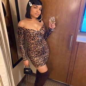 Leopard Mini Dress